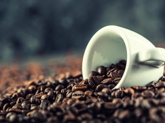 Kawa arabica czy robusta?